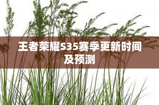 王者荣耀S35赛季更新时间及预测 王者荣耀S35赛季更新时间及预测