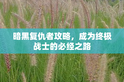 暗黑复仇者攻略，成为终极战士的必经之路