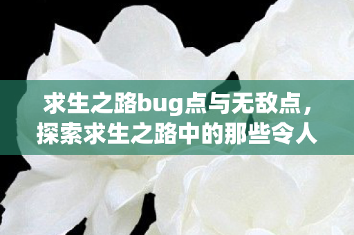 求生之路bug点与无敌点,探索求生之路中的那些令人着迷的小瑕疵 求生之路bug点与无敌点,探索求生之路中的那些令人着迷的小瑕疵