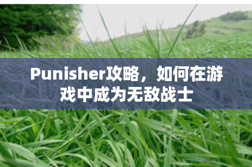 Punisher攻略，如何在游戏中成为无敌战士