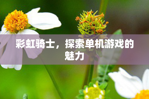彩虹骑士，探索单机游戏的魅力