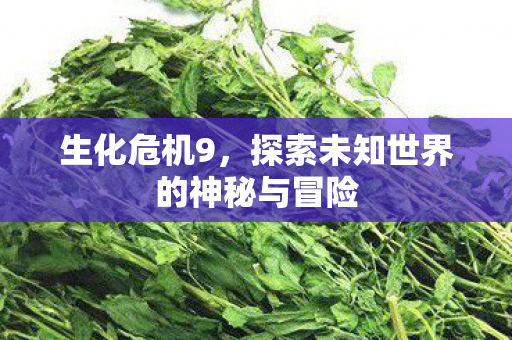 生化危机9，探索未知世界的神秘与冒险