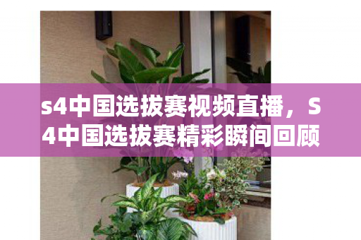 S4中国选拔赛精彩瞬间回顾图片