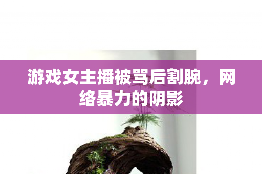 游戏女主播被骂后割腕图片