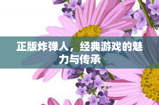 经典游戏的魅力与传承图片