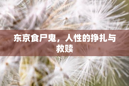 东京食尸鬼，人性的挣扎与救赎