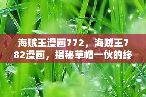 海贼王漫画772，海贼王782漫画，揭秘草帽一伙的终极冒险