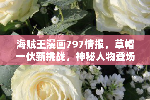 海贼王漫画797情报，草帽一伙新挑战，神秘人物登场