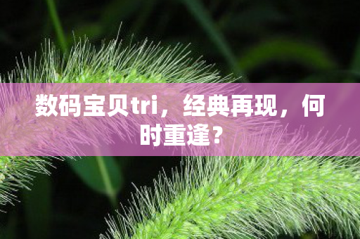 数码宝贝tri，经典再现，何时重逢？