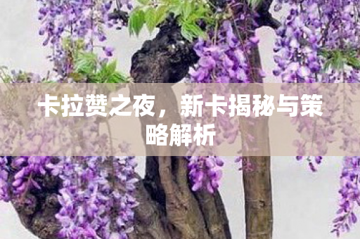 卡拉赞之夜，新卡揭秘与策略解析
