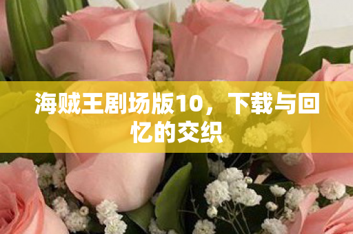 海贼王剧场版10，下载与回忆的交织