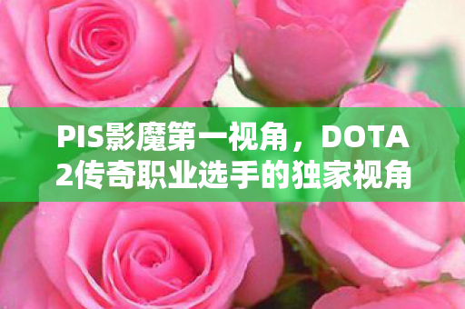 PIS影魔第一视角，DOTA2传奇职业选手的独家视角与战术解析