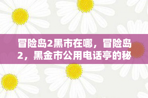 黑金市公用电话亭的秘密图片