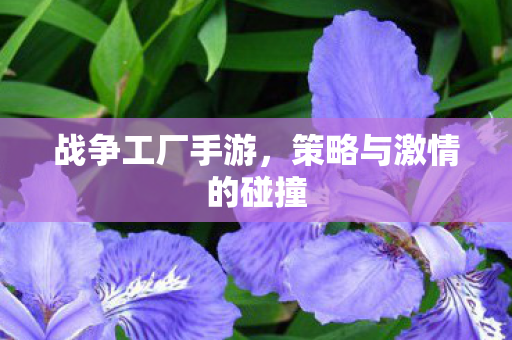 战争工厂手游，策略与激情的碰撞