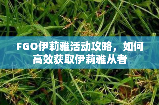 FGO伊莉雅活动攻略，如何高效获取伊莉雅从者