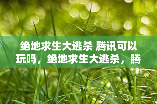 绝地求生大逃杀 腾讯可以玩吗，绝地求生大逃杀，腾讯的电竞版图与全球影响力