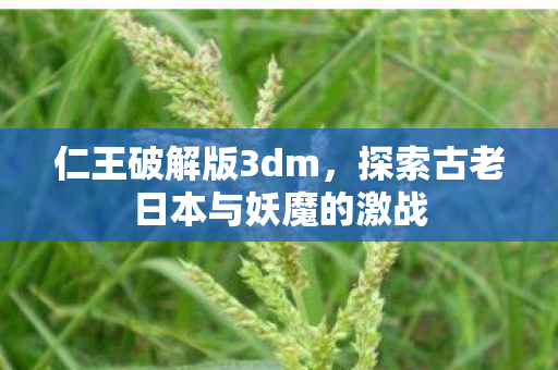 仁王破解版3dm，探索古老日本与妖魔的激战