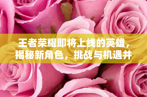 王者荣耀即将上线的英雄图片