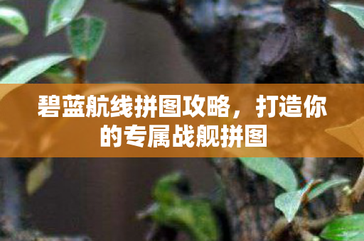 碧蓝航线拼图攻略，打造你的专属战舰拼图