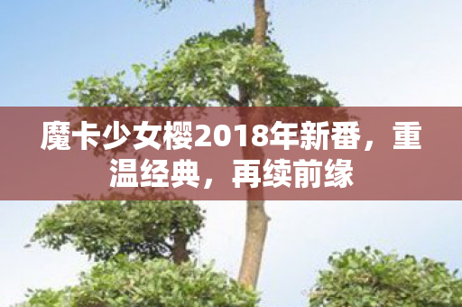 魔卡少女樱2018年新番图片