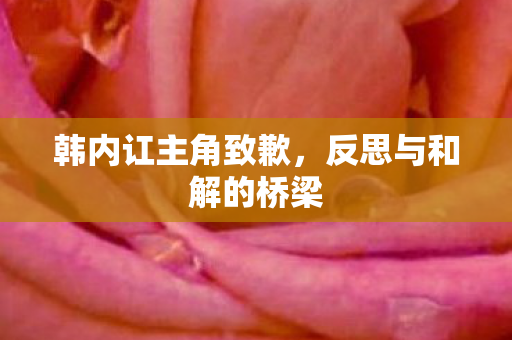 韩内讧主角致歉，反思与和解的桥梁