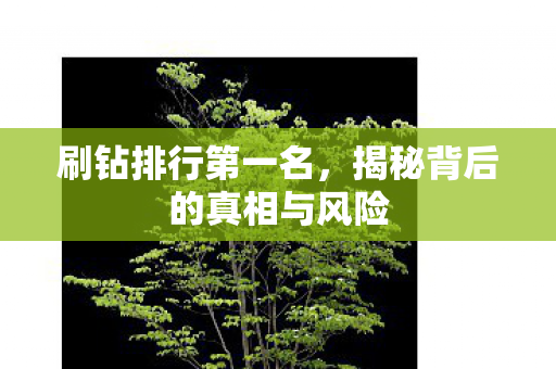 刷钻排行第一名，揭秘背后的真相与风险