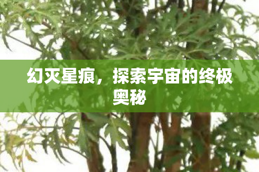 幻灭星痕，探索宇宙的终极奥秘