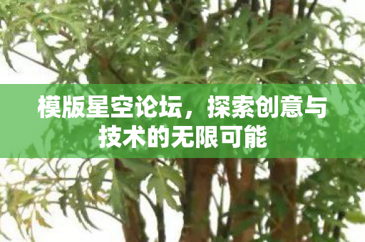 模版星空论坛，探索创意与技术的无限可能
