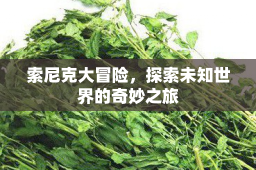 索尼克大冒险，探索未知世界的奇妙之旅