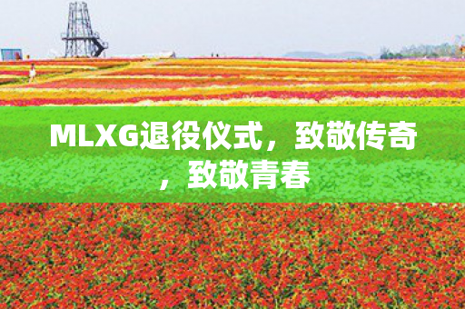 MLXG退役仪式，致敬传奇，致敬青春