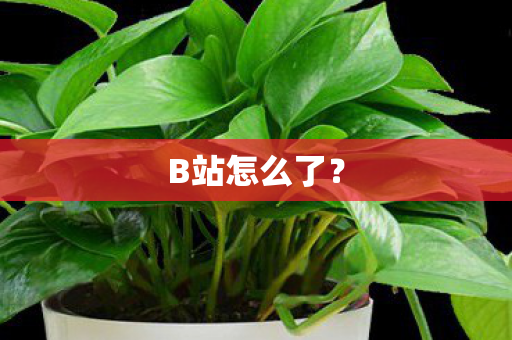 B站怎么了？