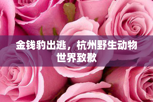 金钱豹出逃，杭州野生动物世界致歉