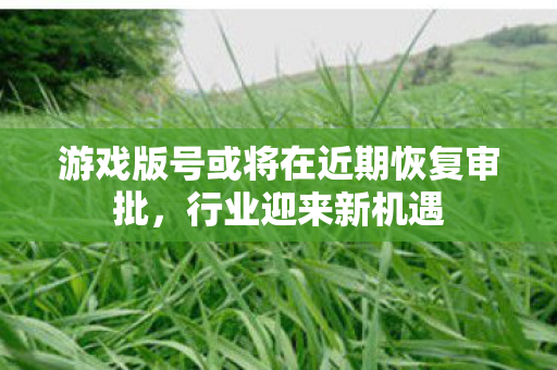 游戏版号或将在近期恢复审批，行业迎来新机遇