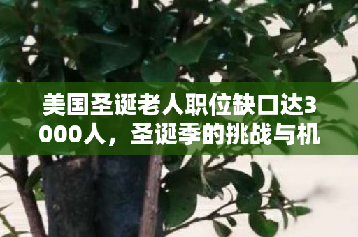 美国圣诞老人职位缺口达3000人，圣诞季的挑战与机遇