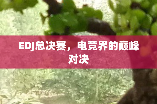 EDJ总决赛，电竞界的巅峰对决