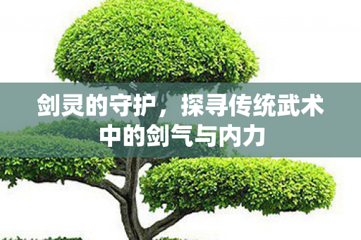 剑灵的守护，探寻传统武术中的剑气与内力