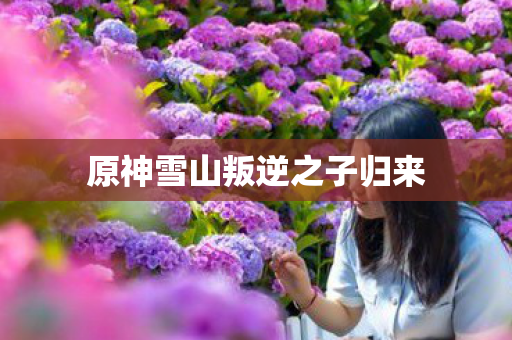 原神雪山叛逆之子归来图片