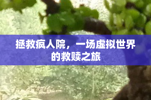 一场虚拟世界的救赎之旅图片