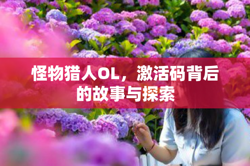 激活码背后的故事与探索图片