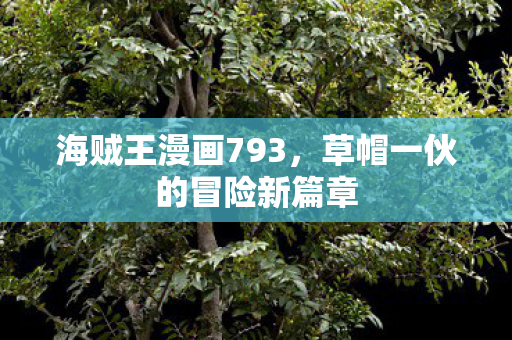 草帽一伙的冒险新篇章图片