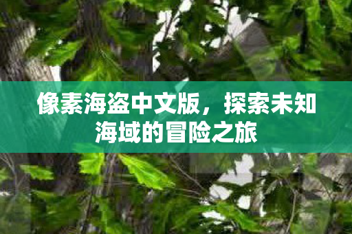 探索未知海域的冒险之旅图片