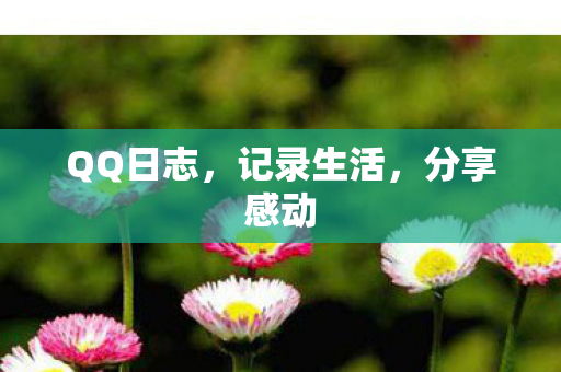 QQ日志图片