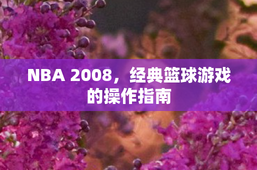 NBA 2008，经典篮球游戏的操作指南