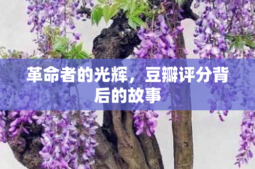 革命者的光辉，豆瓣评分背后的故事