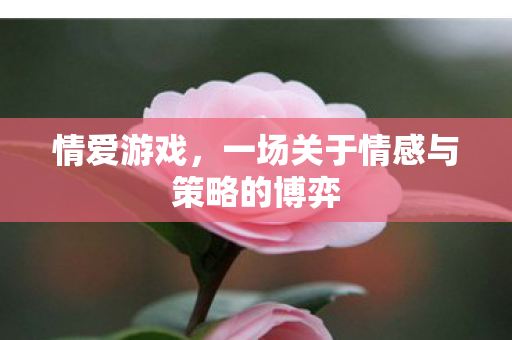 情爱游戏，一场关于情感与策略的博弈