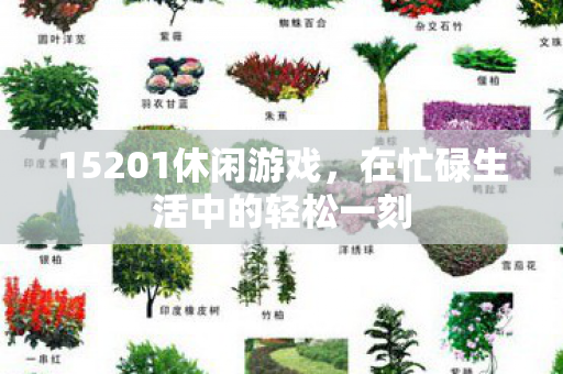 15201休闲游戏，在忙碌生活中的轻松一刻