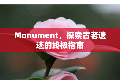Monument，探索古老遗迹的终极指南