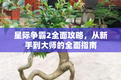 星际争霸2全面攻略，从新手到大师的全面指南