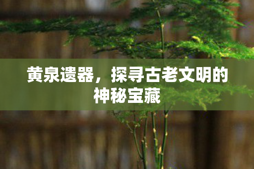 黄泉遗器，探寻古老文明的神秘宝藏