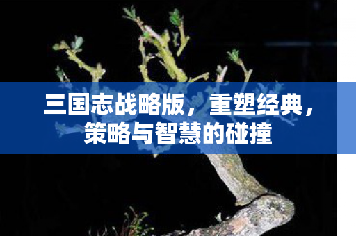策略与智慧的碰撞图片